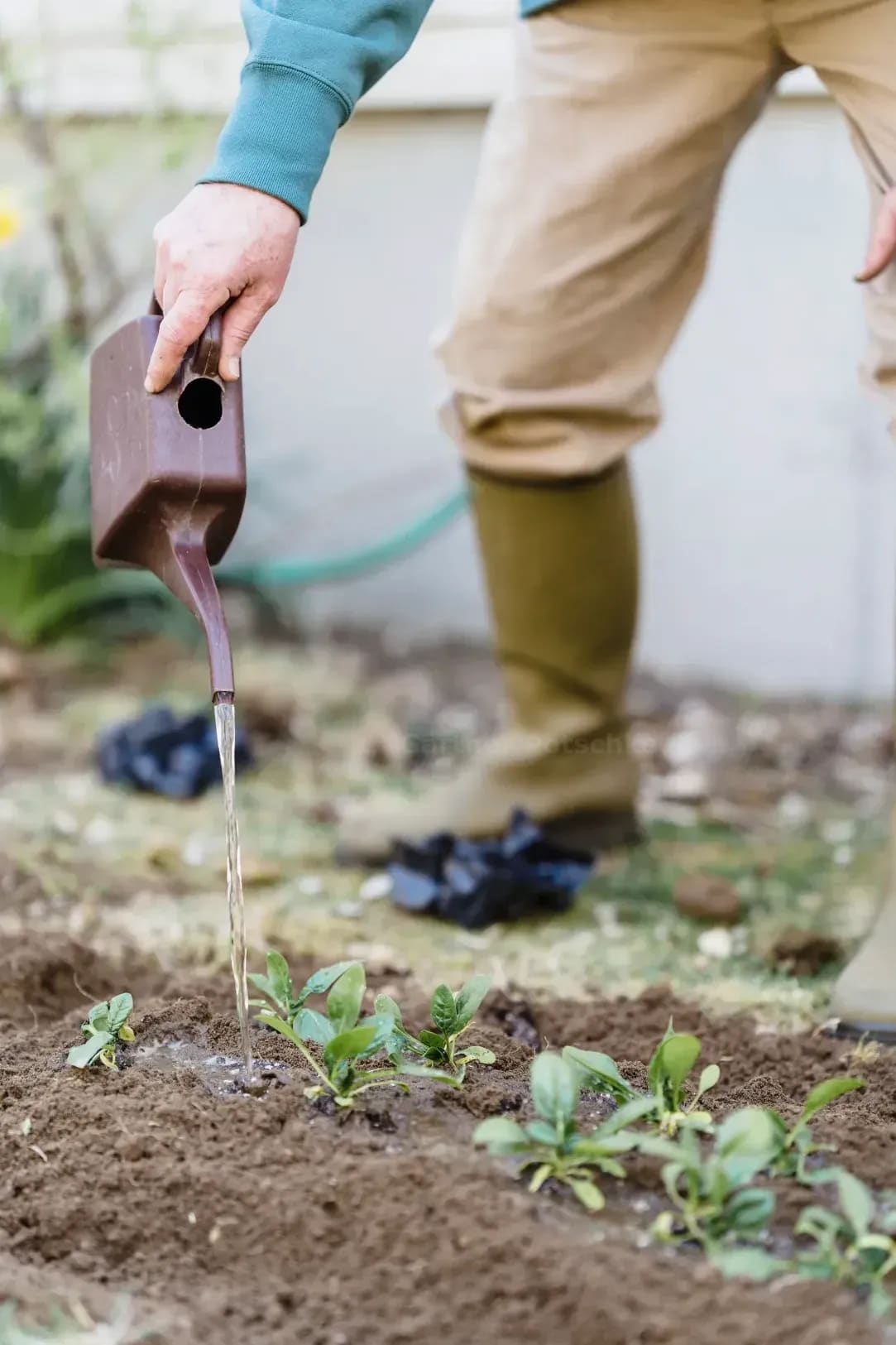 Frühlingspflege für Staudenbeete im Hausgarten